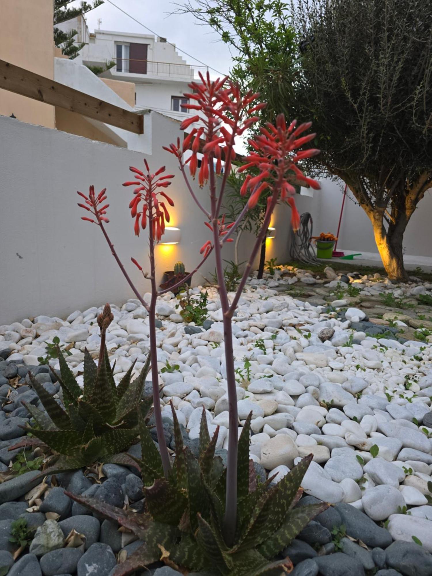 Villa The Garden House Tínos Exterior foto